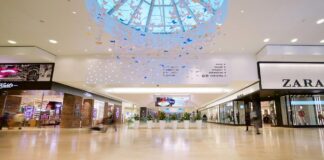 The Rebirth of Brick and Mortar – How to Survive in an Increasingly Digital World