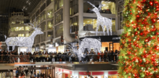 Canadian Retailers Outdo UK for Holiday Presentation: Expert