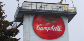 As Big Food Brands Struggle, Canada has a Golden Opportunity to Develop its Own