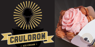 Gourmet Ice Cream Chain Cauldron Begins Canadian Expansion