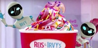 Automated Frozen Yogurt Chain Reis & Irvy’s Looks to Disrupt Canadian Market
