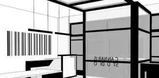 Case Study: Cannabis Studio Design