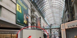 Aesop to Open 1st Mall-Based Store in Canada