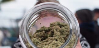 Are we really ready for privatized pot sales?