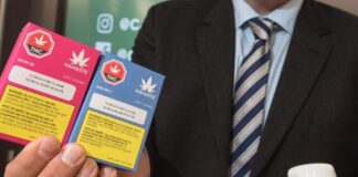 Legal Cannabis vs. Black Market in Canada: Can it Compete?