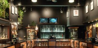 Ontario Cannabis Accessory Retailers Claim Legislative Discrimination Amid Controversy