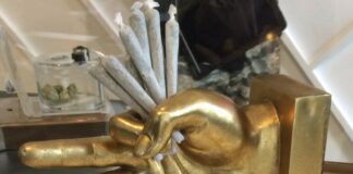 The New Kid in Town: An Analysis of the Emerging Canadian Cannabis Market, Part 1