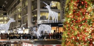 JLL Holiday Study Reveals Canadian Consumers Will Leverage Physical and Online Stores