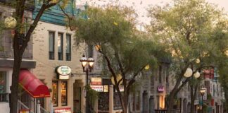Montreal’s Struggling St. Denis Street to See Revival Amid Landlord Acquisition