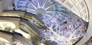 Retail Insider in South Africa: Sandton City Retail Node Tour