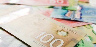 Retailers in Canada Need to Evaluate Cashflow Situation to Survive: Expert